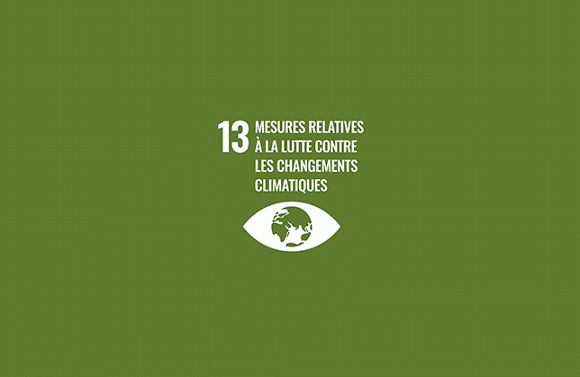 ODD n° 13 : Mesures relatives à la lutte contre les changements climatiques