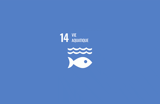 ODD n°14 : Vie aquatique