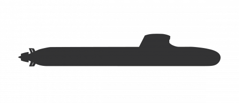 Silhouette barracuda